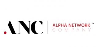computer companies cairo Alpha Network Company