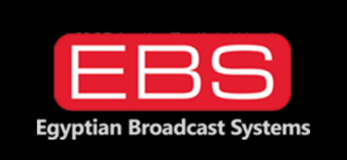 Egyptian Broadcast Systems, established in 2009, is specialized in conference management and providing interpretation and translation services for a wide range of clients in the Egyptian market.