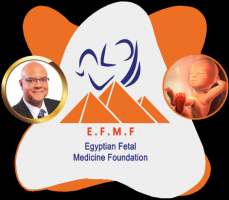 eclampsia specialists cairo Fetal Health Center (Egyptian Fetal Medicine Foundation)