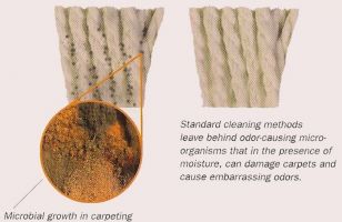 carpet cleaning cairo Hady Trading & Engineering