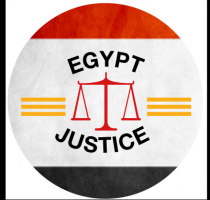 lawyers foreigners free of charge cairo The Egyptian Law Firm