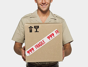 cheap removals cairo United Sons Moving Services