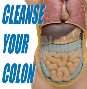 colon hydrotherapies in cairo Kushi Center Egypt